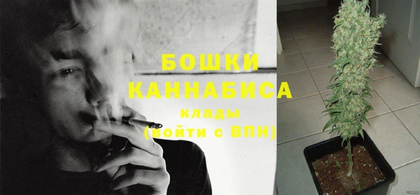 индика Тында