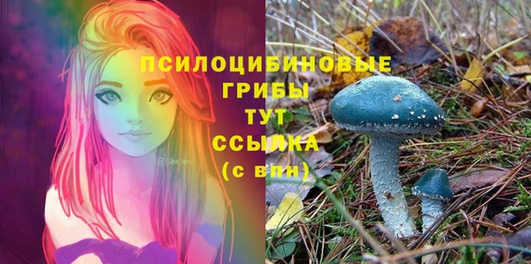 твердый Волосово