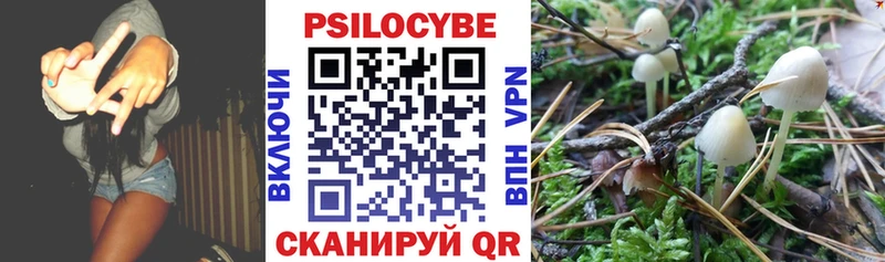 Псилоцибиновые грибы Cubensis  ссылка на мегу   Лобня 